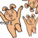 호랑이고기뷔페 이미지