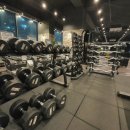 그레이짐 이미지