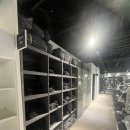 마이애미 휘트니스 헬스 | 소문이 자자한 센텀PT 센텀헬스장 마이애미짐 24시헬스에서 제대로 운동하는 비법 대공개! !