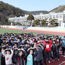 함평초등학교 더 한국타임즈