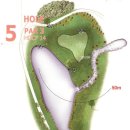 하이원 컨트리클럽 이미지