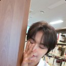 하이위시