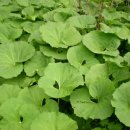 광릉한의원 이미지