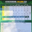 혼디오몽