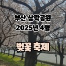 르네시떼시장 | 2025년 4월 부산 삼락공원 벚꽃 축제 방문 후기 - 삼락생태공원