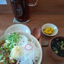 양수바이크 | 탐론17-50 렌즈와 함께 양수&amp;속초 바이크라이딩