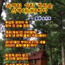 성림정원 Daum카페