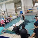 수영초등 이미지