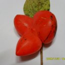 수화농장 이미지