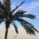 태양과바다 야영장 이미지