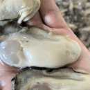 통영어민수산 이미지