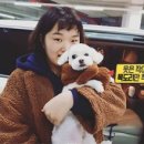 송이스포츠