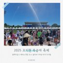 복숭아아저씨 | 2025 세종 여름 축제 조치원 복숭아 축제 복숭아이조치원 물총 싸움 방문 후기