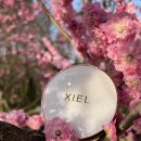 지엘(Xiel) 이미지