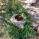 반구대팜스테이 이미지