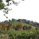 남원읍-124 이미지