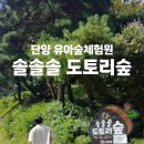 솔솔솔도토리숲 네이버블로그