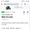 아인스하임 이미지