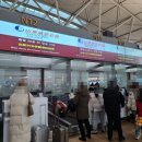 4610 | 산동항공 SC4610 칭다오 체크인, 기내식