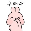나무다움 이미지