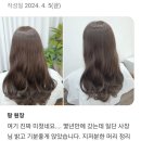 헤어팡 이미지