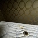 특수세탁 이미지