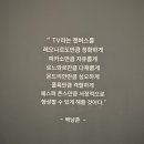 경주힐튼 우양미술관 백남준 전시 <Nam June Paik : Humanity in the Circuits> 관람후기
