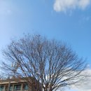 신당마을회관 이미지