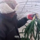 양대농장 이미지