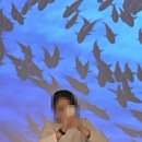 요가소도구필라테스D 이미지