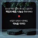 자연이 바르다