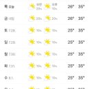 청년스팀세차 이미지