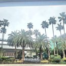 제이메디칼(주) | 제주도 피부과 장비 납품 사례, 실펌엑스(SYLFIRM X) 듀얼웨이브 RF 장비 특징 정리