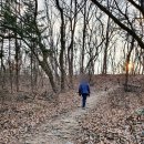 동백산오름공원 게이트볼장 | 용인 동백 산오름 공원 실내 배드민턴장 테니스장 게이트볼장