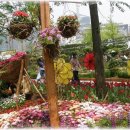 간척3리 이미지