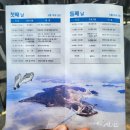 축제 마지막날 방문 후기 - 2023년 5월 봄 주말 제4회 섬 깡다리 축제장과 대광해수욕장 풍경 / 임자도...