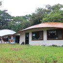 숲속의야영장 이미지