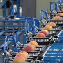 옥천군 농산물산지유통센터 이미지