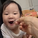 광주한우정육점 | 듀록목살 드라이에이징으로 즐기는 광주 릴라네정육점 솔직 후기