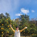 산수재민박 이미지