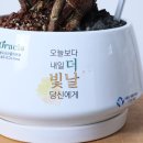 송도오라클피부과의원 이미지