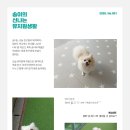 개님살롱레이크사이드 이미지