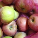 와촌 농장 이미지