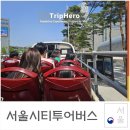 타이거여행사 주식회사 | 외국인 친구와 어디 가지? 서울시티투어버스