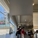 카페레아 이미지