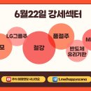엘지반도체(주)