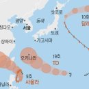 태풍 - 동구 효신로 16 | 태풍