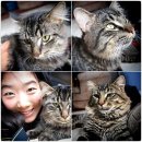 [다이나믹 캐나다] 수지닝의 Okanagan오카나간 체리농장 체험기 이미지