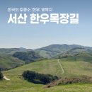 5월 서산 여행 추천, 한우목장 웰빙산책로 벚꽃 둘레길
