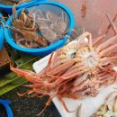 묵호어판장 이미지